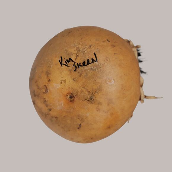 Signed Gourd Sculpture Kachina Sculpture Native American 10" By Kim Skeen - Picture 5 of 9